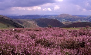 Cycling up the Long Mynd the easy way - cycling holidays in Shropshire